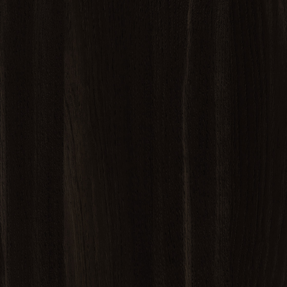 6779_Rovere_Moresco