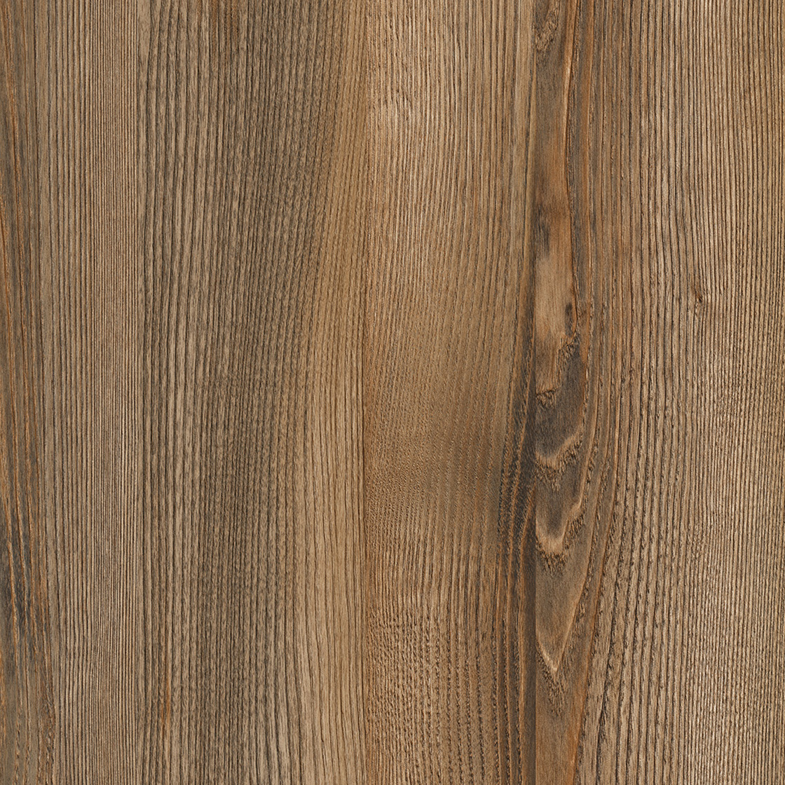 K591_Celtico_Tanno